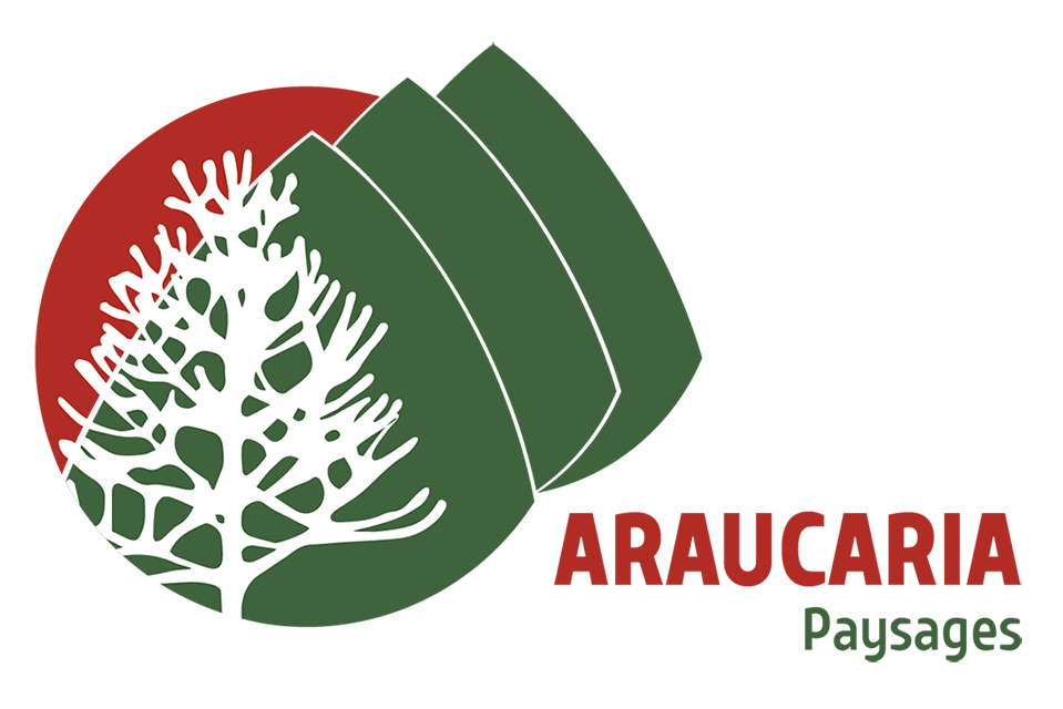 Araucaria Paysages
